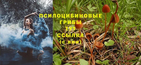 твердый Балабаново
