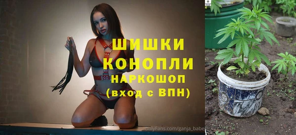 МДПВ Семёнов